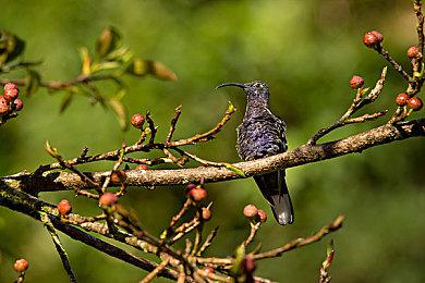 网传希腊《战神》复刻版消息 或于系列20周年发布